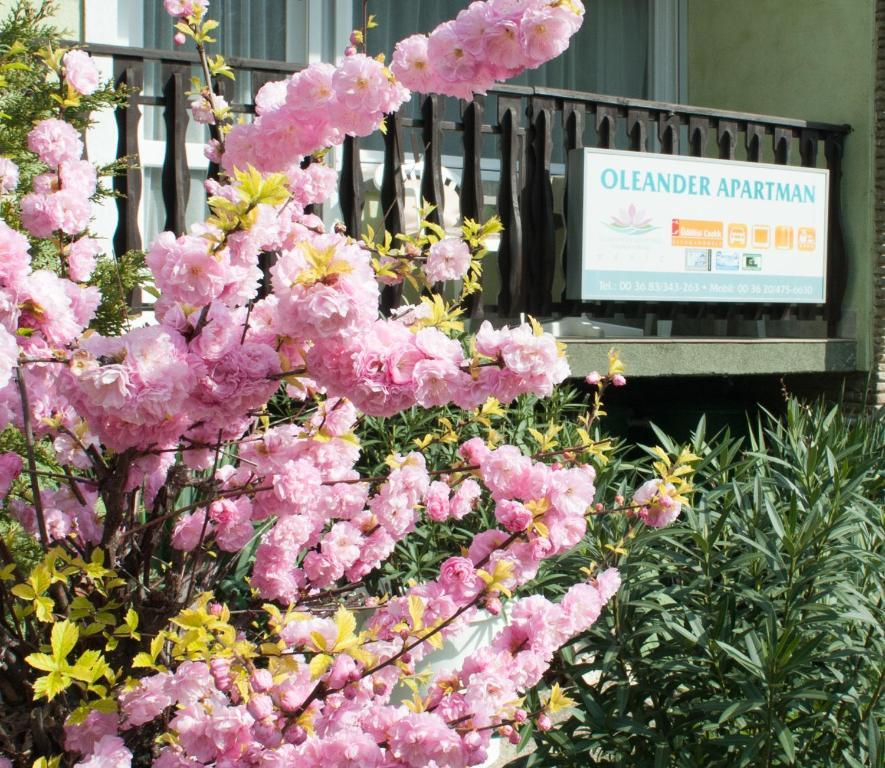 Oleander Apartman Hévíz Eksteriør bilde